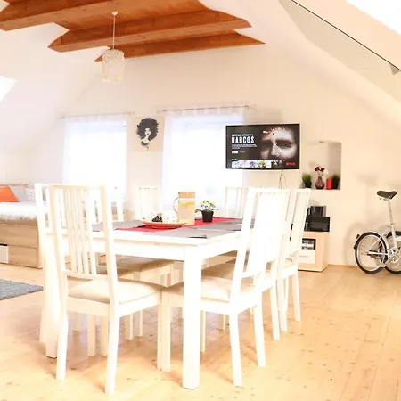 Old Town Charles Apartment Budweis