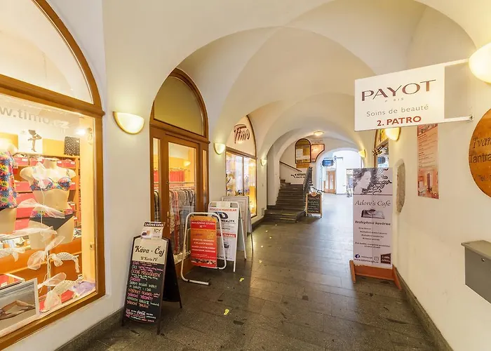 아파트 Old Town Charles